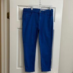 Nordstrom Treasure & Bond Cobalt Blue Straight Leg Pants